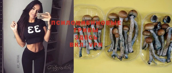 синтетический гашиш Балахна