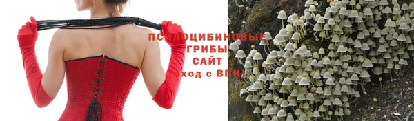 спиды Белокуриха